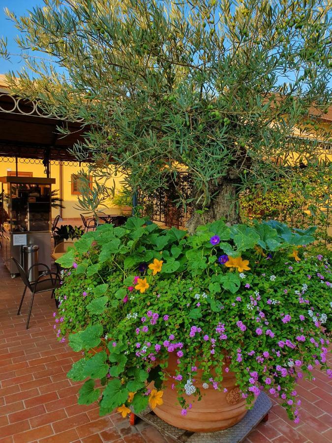 "La Terrazza Di Castiglione" Appartamenti Vacanza Кастильоне-делла-Пеская Экстерьер фото